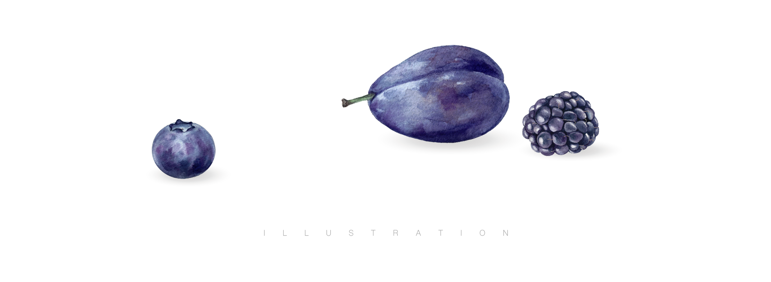 Kseniia_Eroess_Illustration_Watercolour_Fruits-Berries_Slide-01